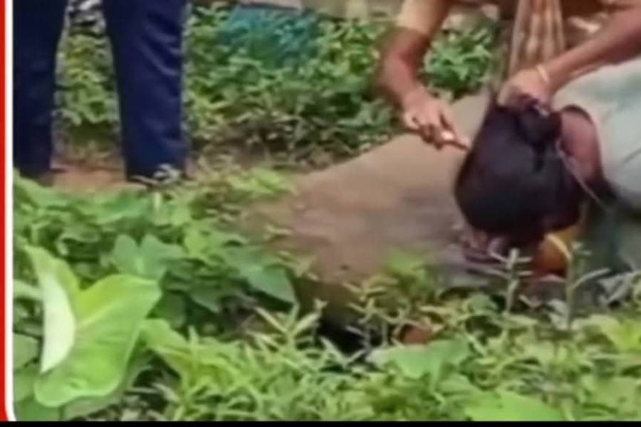 Woman Tied, Hair Chopped Off in Public Over ‘Affair’ Allegation in Tripura