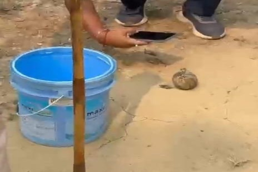 Ahead of TTAADC Polls, crude Bomb Thrown at Tipra Motha Leader’s House