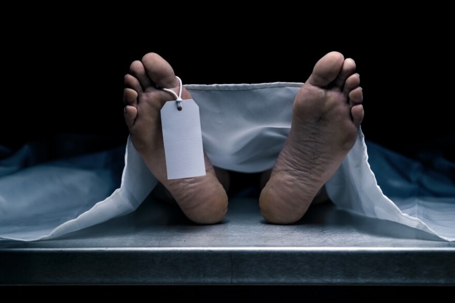 Couple Found Hanging from Same Tree i...