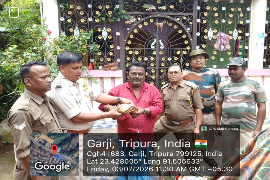 Endangered Elongated Tortoise Rescued in Tripura, Released Back into Forest