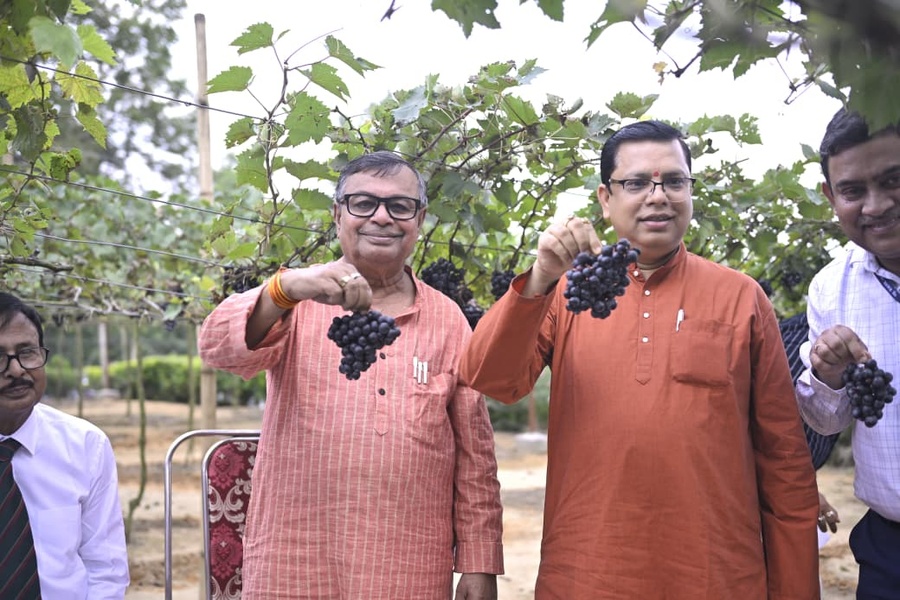 Govt to conduct trials on 18 more grape varieties: Agriculture Minister