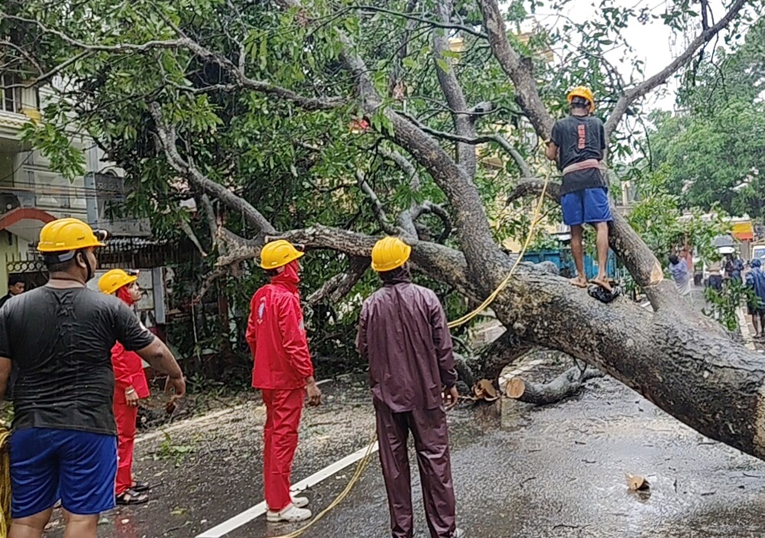Heavy in Tripura damages 93 houses, 207 shifted to relief camps