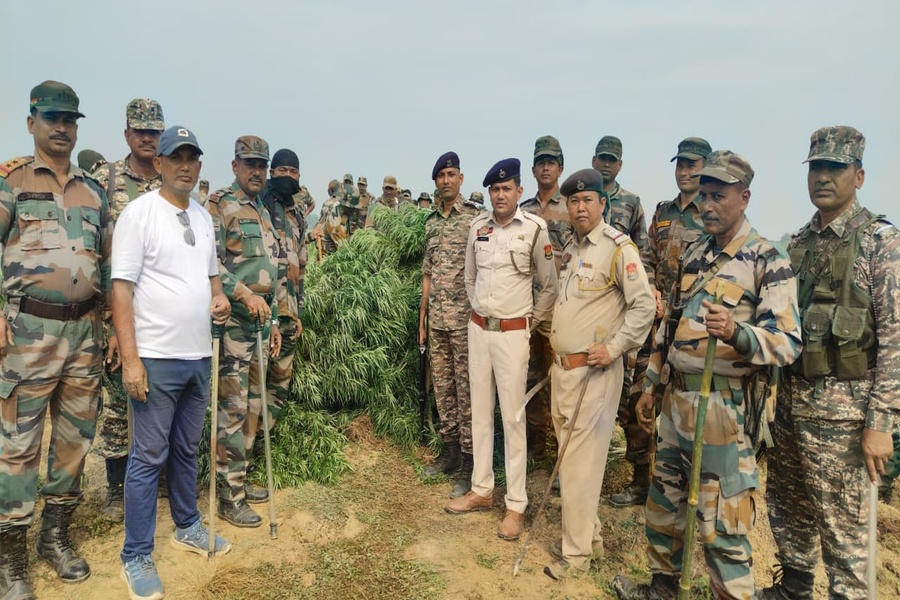 Illegal Ganja Plantations Destroyed in Massive Joint Operation at Tripura