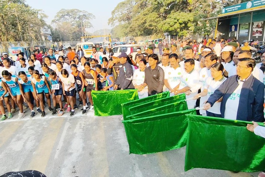 Tripura Tea on Par with National Brands; Auction Centre Planned Next Year