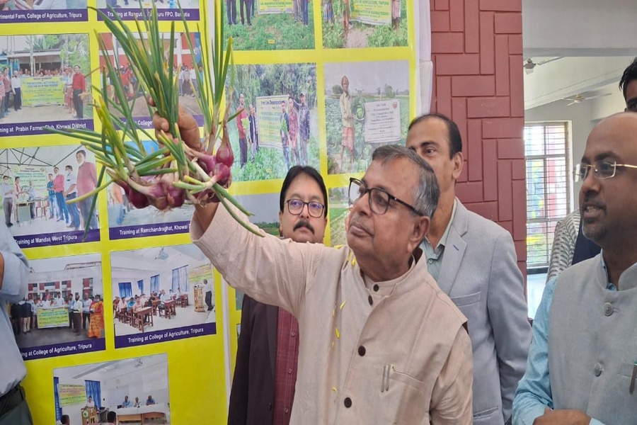 Khowai, Dhalai to become self-sufficient in paddy this season: Minister