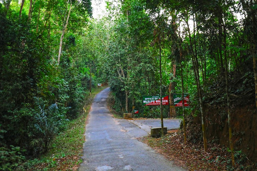Missing Elderly Man Found Dead in Sepahijala Forest; Police Launch Investigation