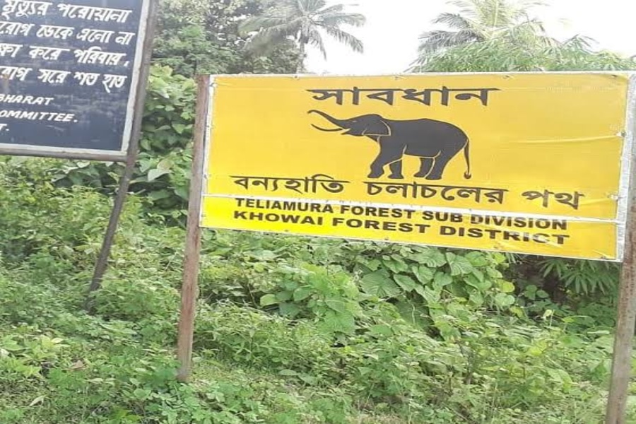 Nighttime Terror in Tripura village as Wild Elephants Continue to Wreak Havoc