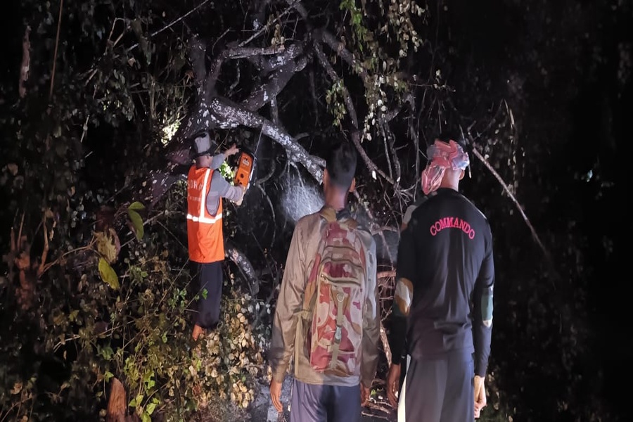 Over 2,300 houses damaged as storm hits Tripura, 808 take shelter