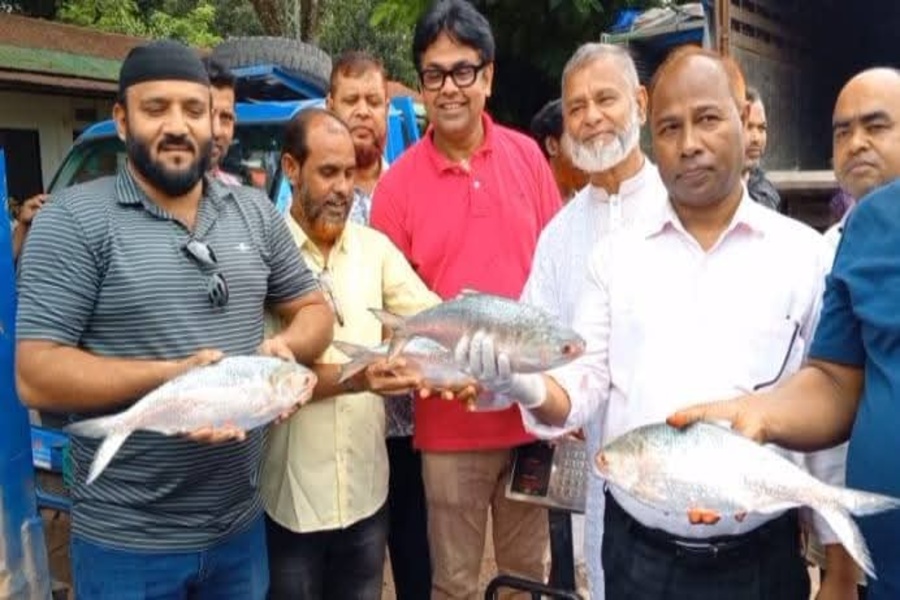 Padma Hilsa Arrives in Tripura Ahead of Durga Puja, But Prices Likely to Surge