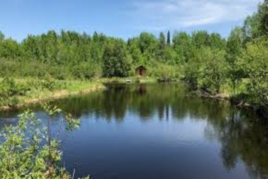 Rs 32 Lakh Pond Renovation Project in...