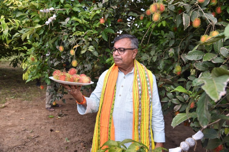 Mangosteen, Rambutan, Avocado cultivation started in Tripura: Agriculture Minister