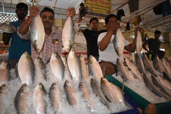 Tripura fisheries dept to sell 6,000 Kgs of fish at subsidized rates on Poila Boishakh