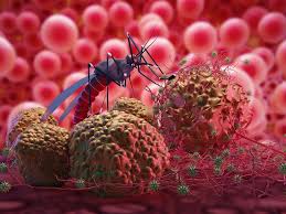 Tripura aims to eliminate malaria by 2027: Gitte