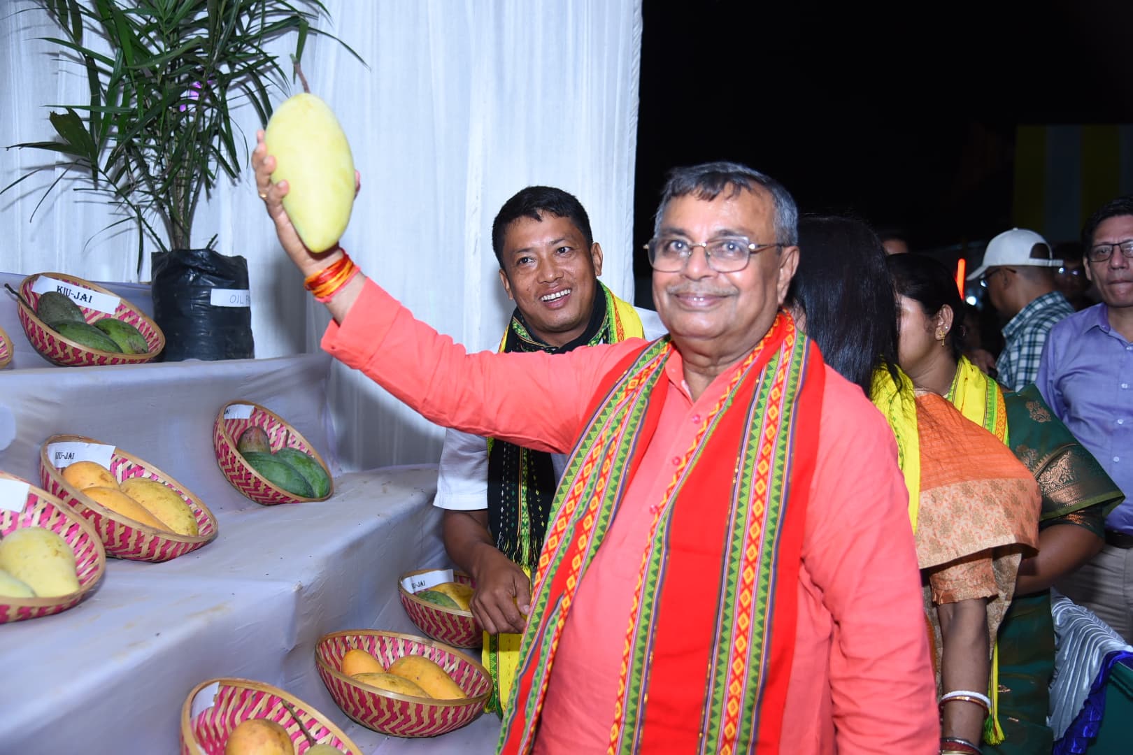 Tripura sets target to revive 18 hectares of old mango gardens: Agriculture Minister