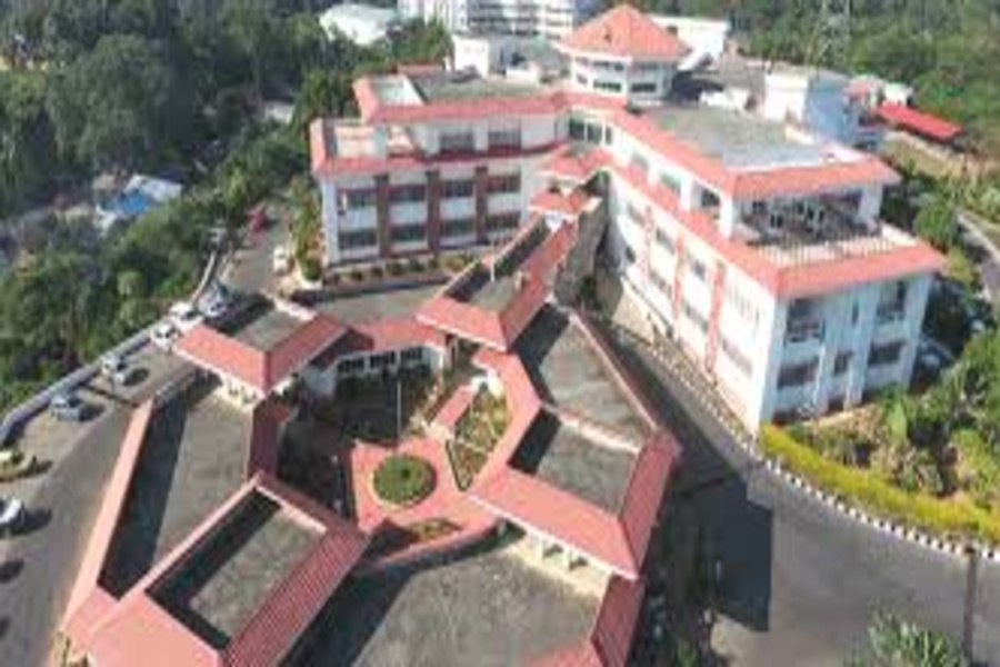 Tripura HC Hears Case on Illegal Immigration, Sets 3-Month Timeline