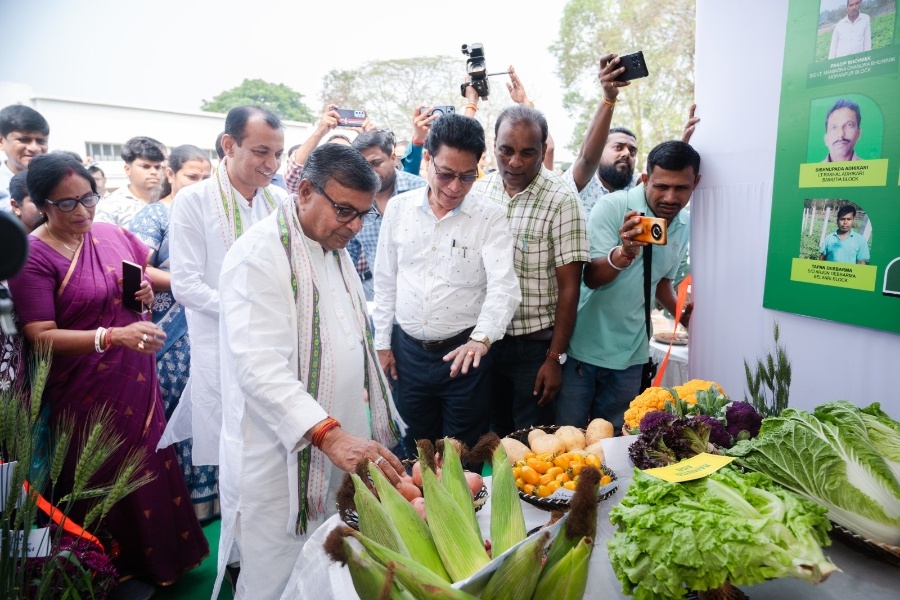 Food grain production in Tripura rises by 12% this year: Agriculture Minister