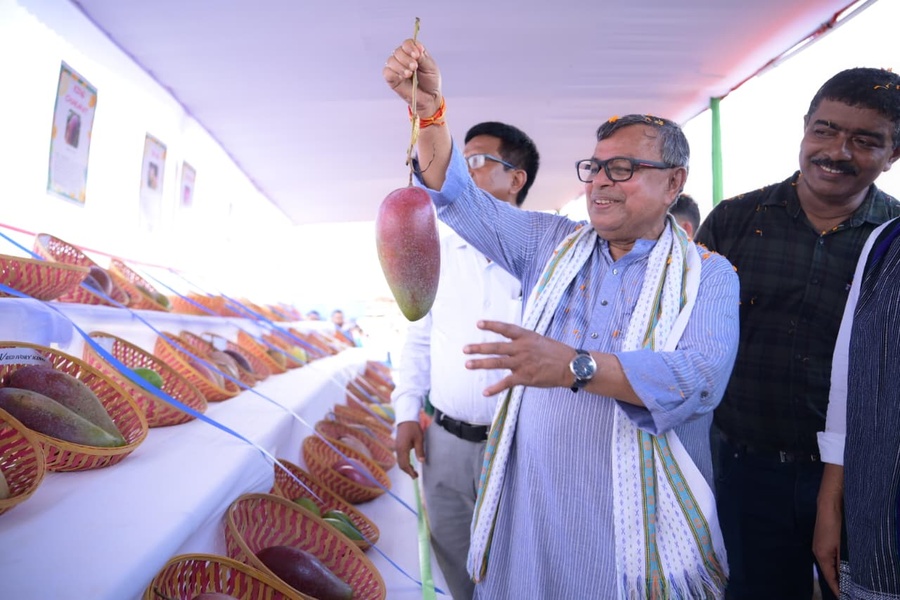 Govt to expand mango cultivation by 342 Kani: Agriculture Minister